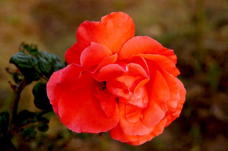 DSC07874.JPG