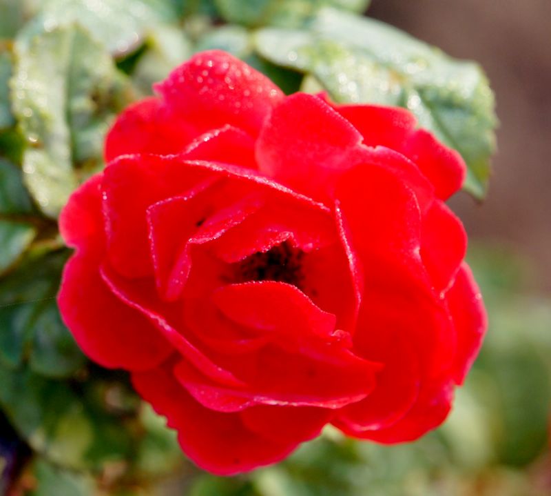 DSC07864 - .JPG