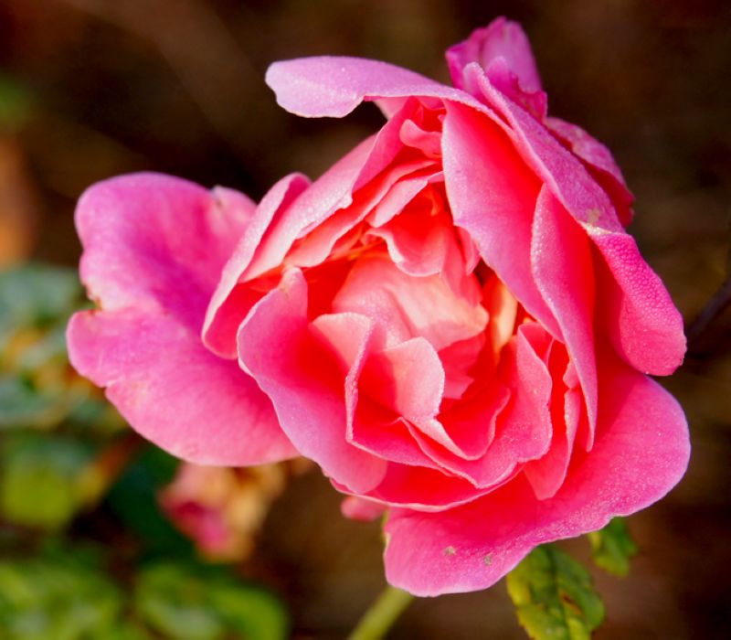 DSC07872.JPG