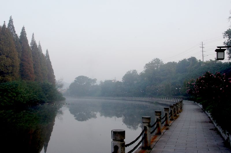 DSC07846.JPG