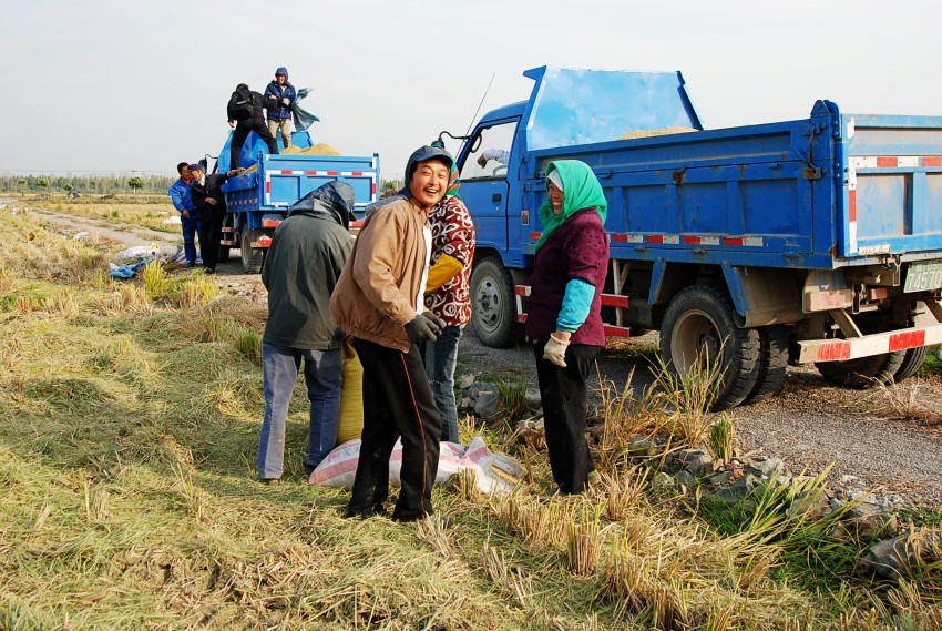 DSC_9722_conew1.JPG