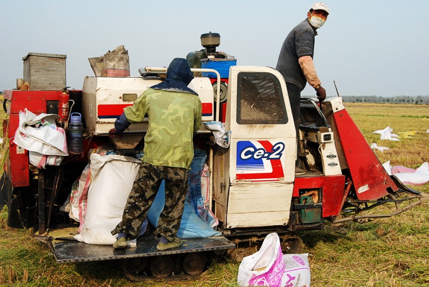 DSC_9741_conew1.JPG