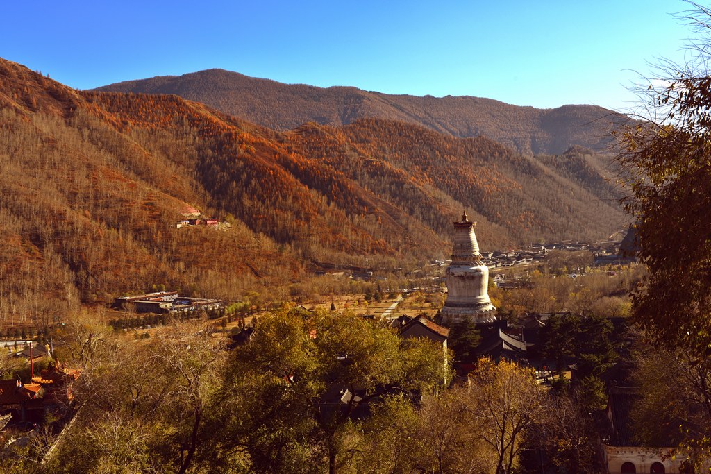 DSC_2235.jpg