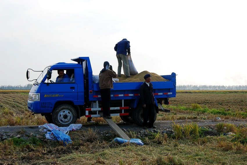 DSC_9709_conew1.JPG