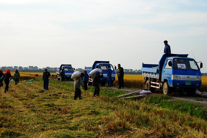 DSC_9744_conew1.JPG