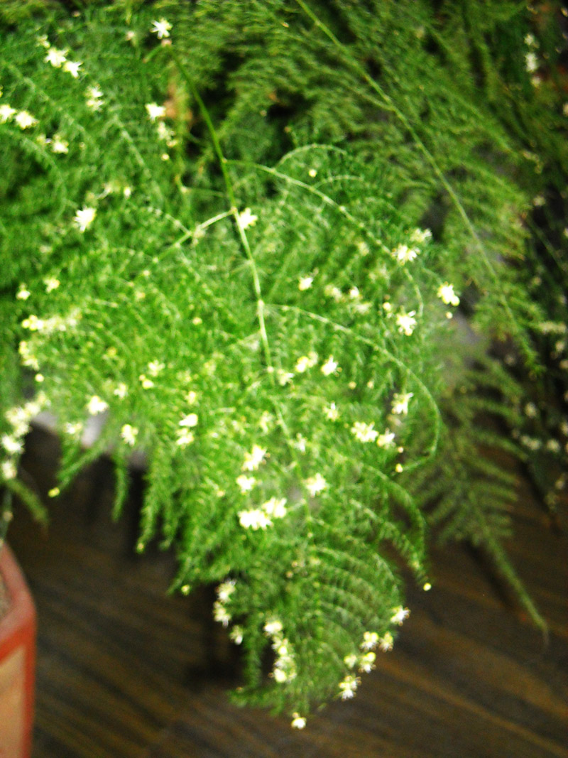  DSCN0809.JPG