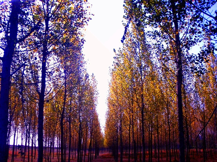P10106340__.jpg