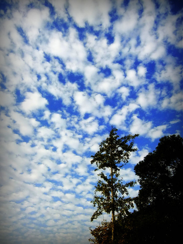 DSCF7989.JPG