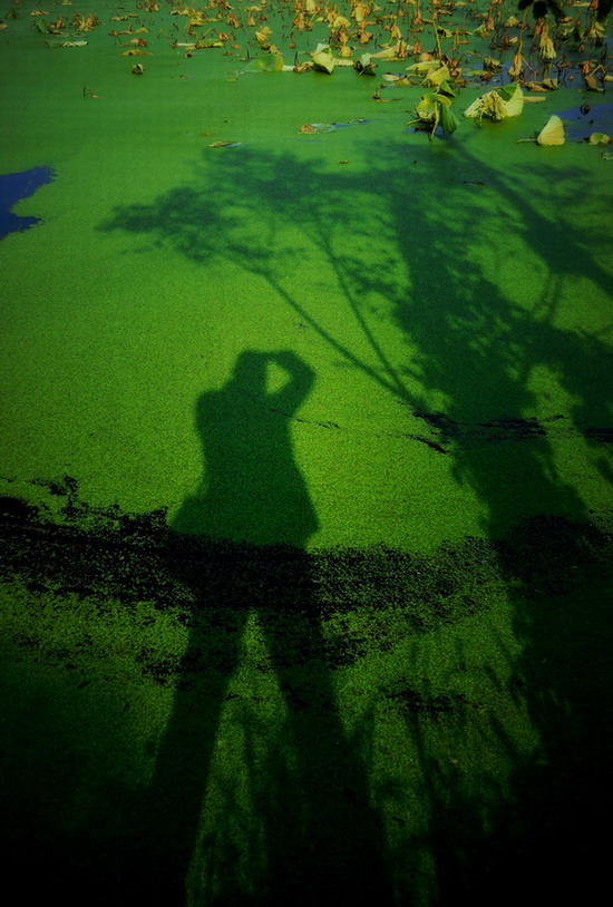 Ƭ 041.jpg