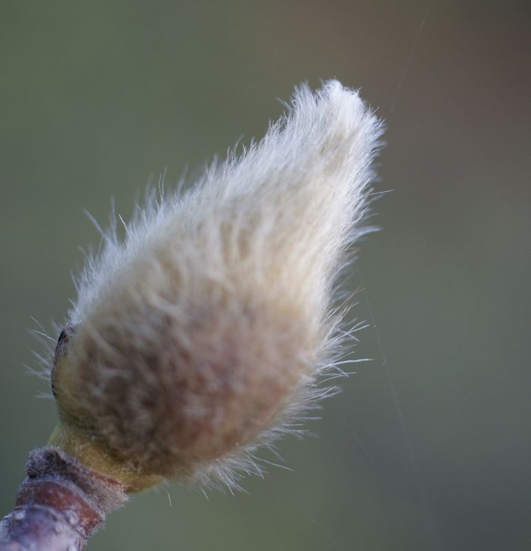 DSC01289.JPG