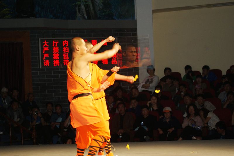 DSC08003.JPG