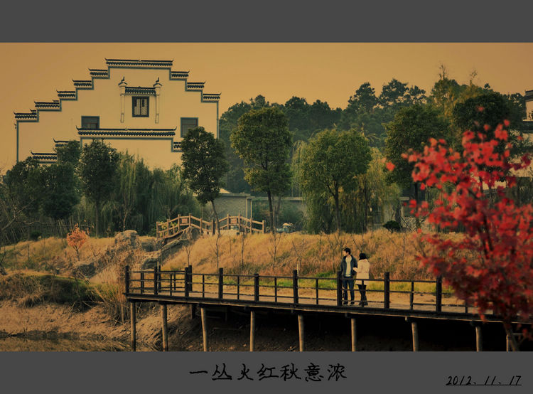 Ƭ 226.jpg