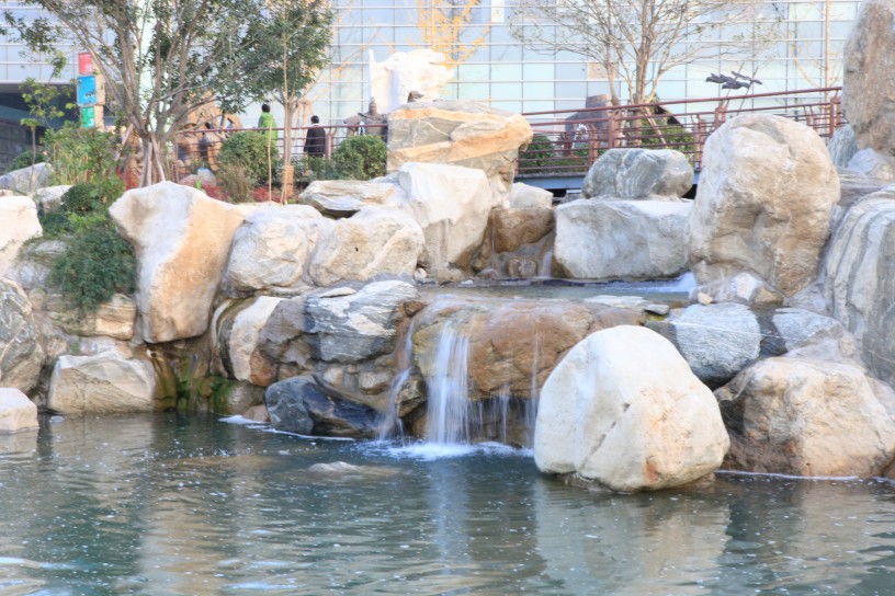 IMG_3001_conew1.JPG