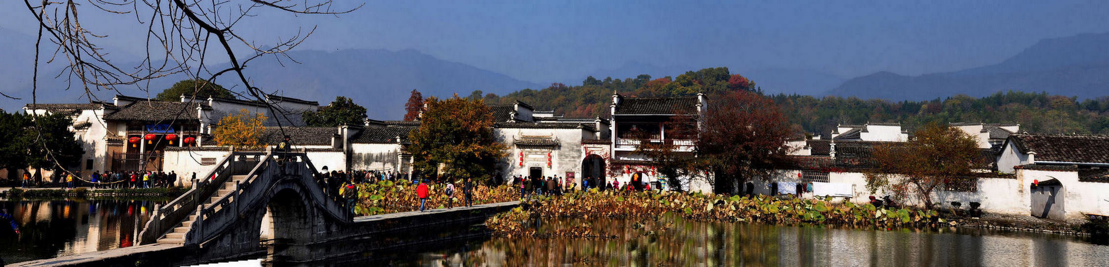 徰ɫ֮
