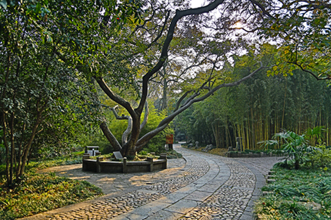 CK8A0043.jpg