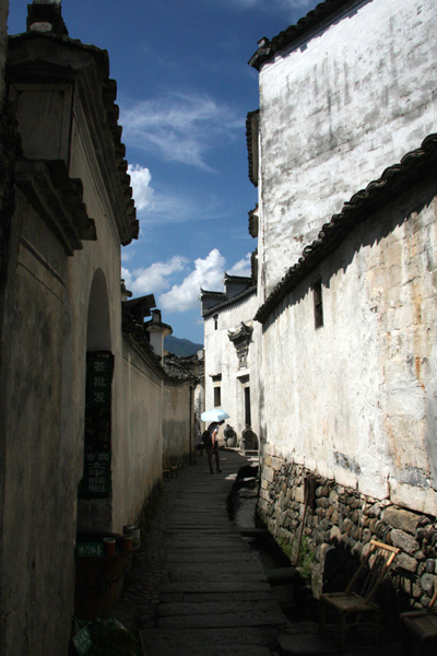 IMG_6210.jpg