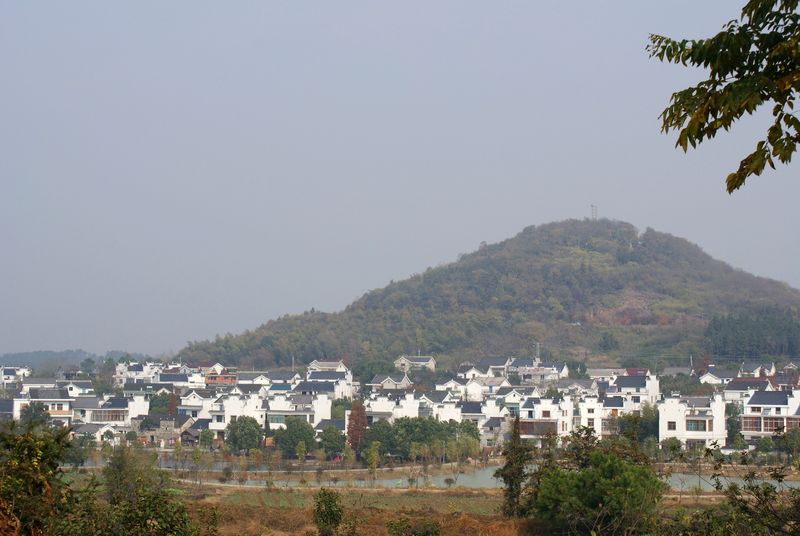 DSC01699 - .JPG