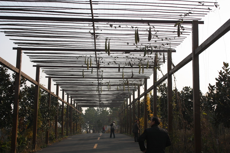 2012.11.24 060.jpg