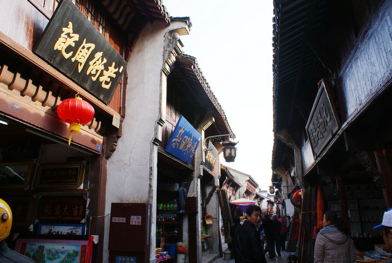DSC01800.JPG