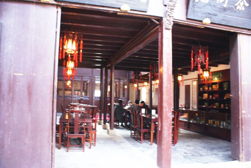 DSC01805.JPG