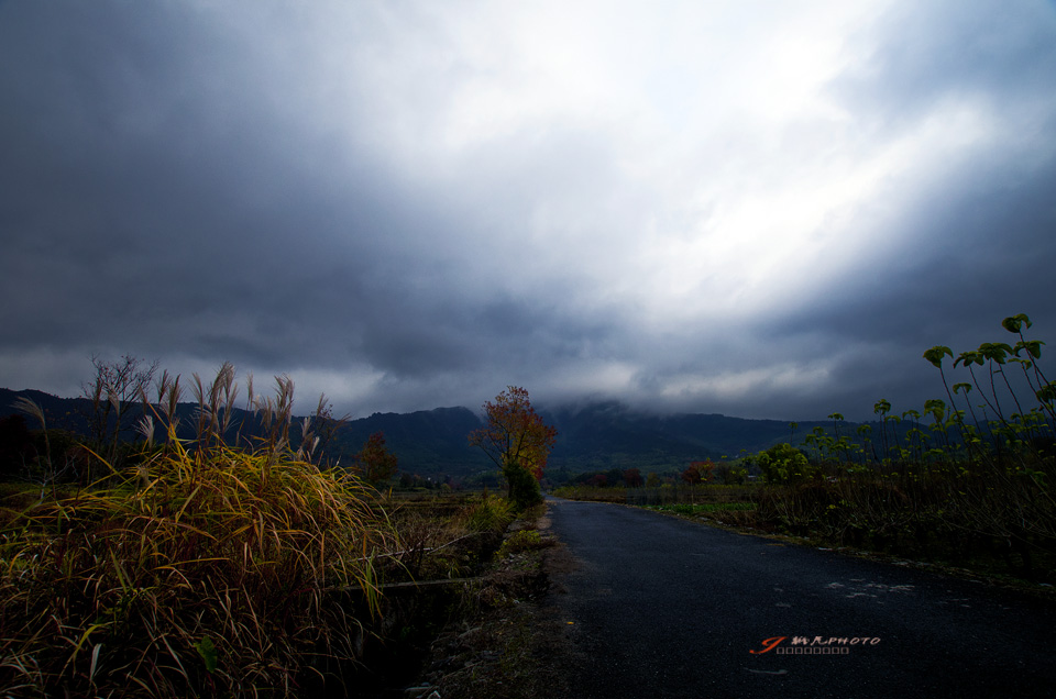 _IGP1337-1.jpg