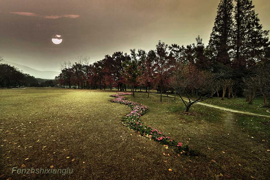 ϳͼã_MG_8477-200.jpg