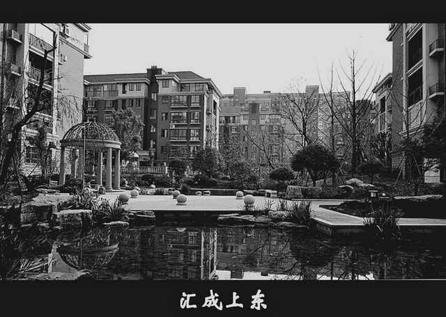 DSC_0048.jpg