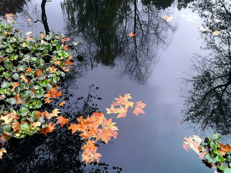 IMG_20121202_153119-1.jpg