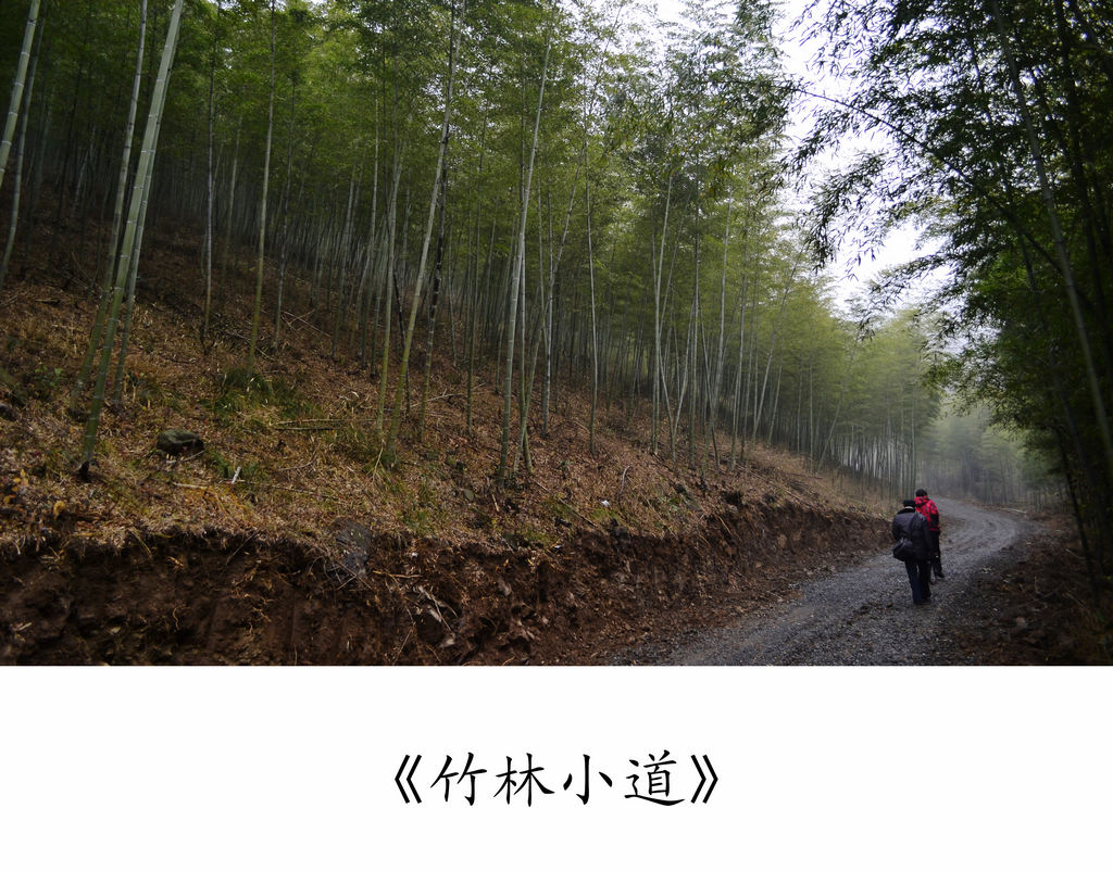 Ƭ 044.jpg