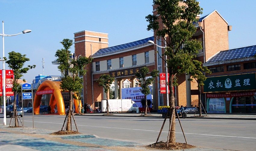 DSC_4789_conew1.JPG
