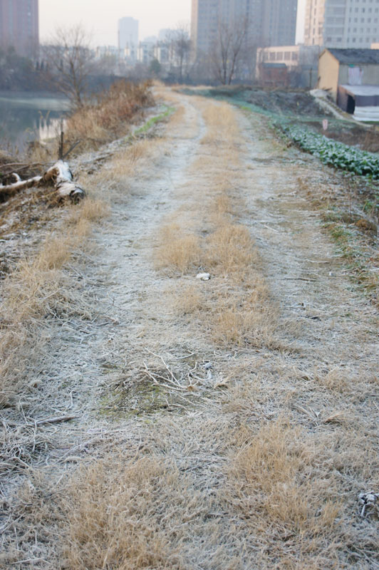 DSC08761.JPG