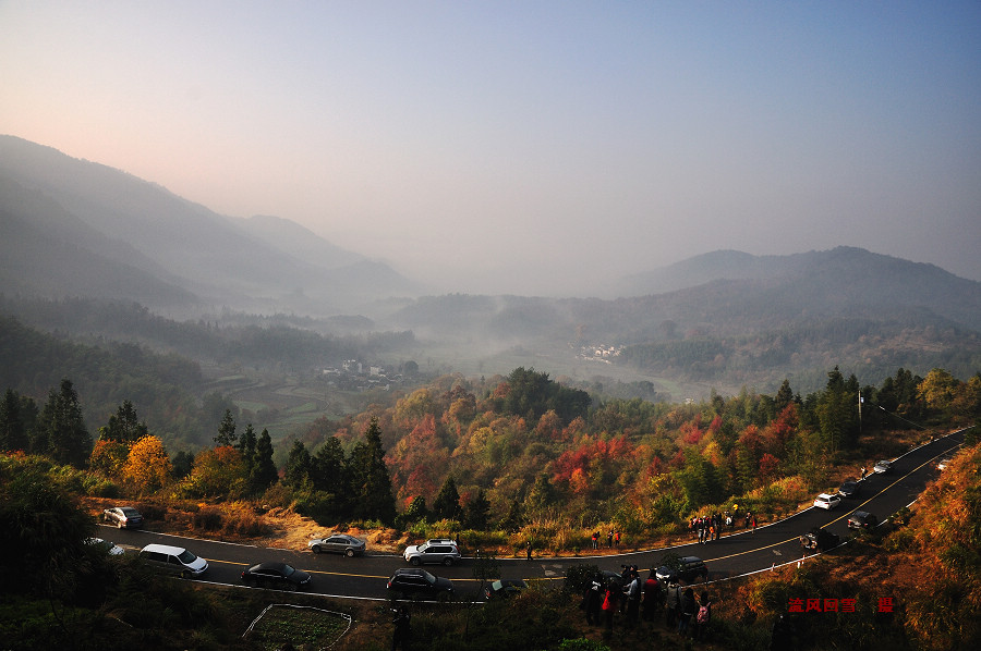DSC_9960.jpg
