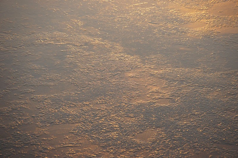 DSC08770_conew1.jpg