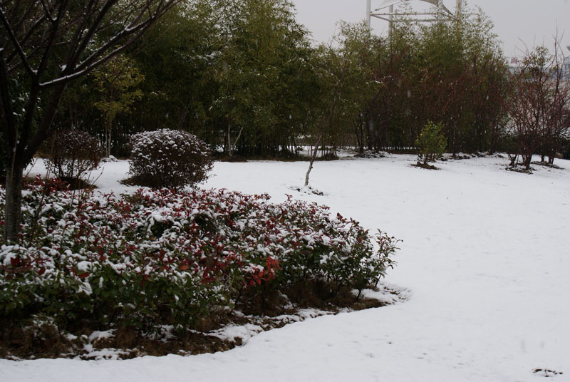 DSC02119.JPG