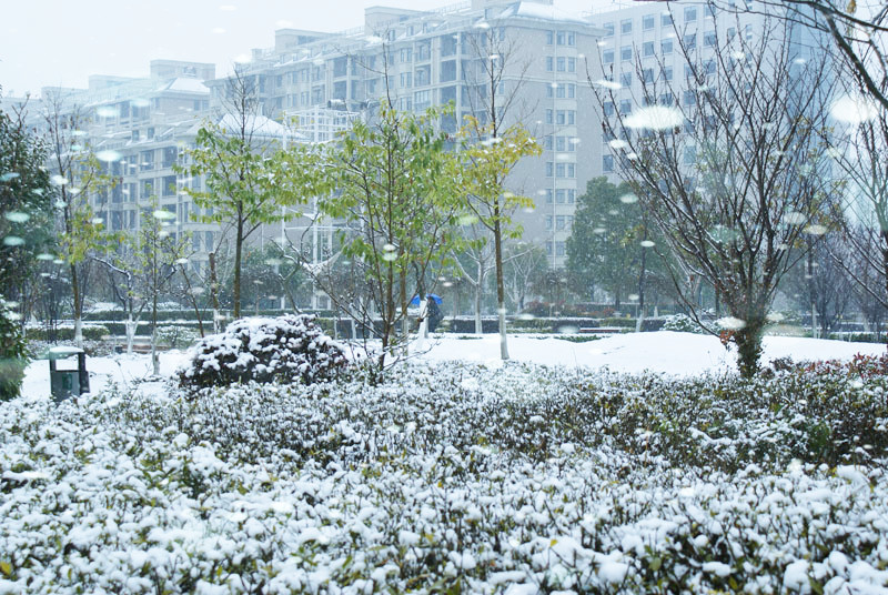 DSC02117_.jpg