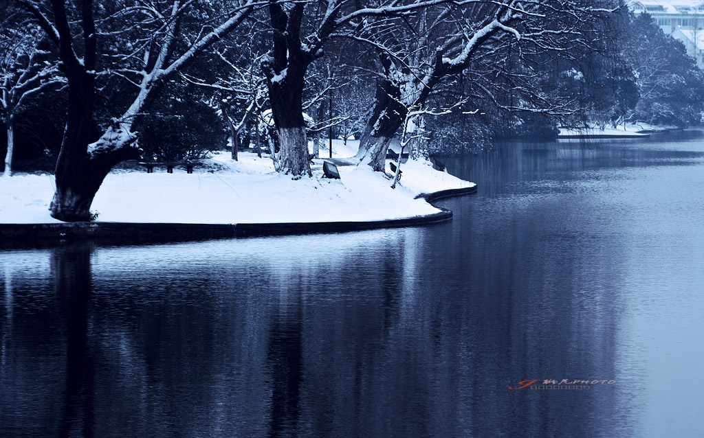 _IGP2669-1.jpg