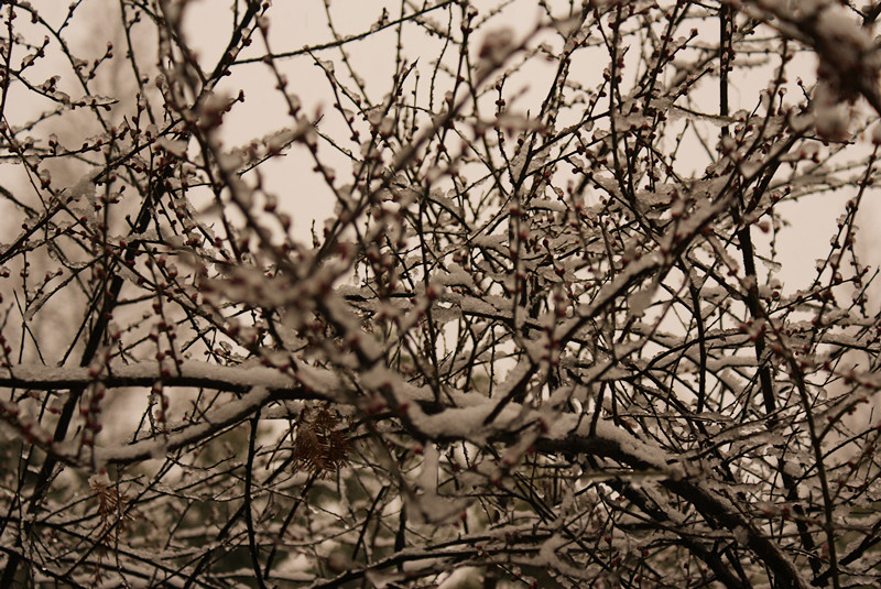 DSC02163_.jpg