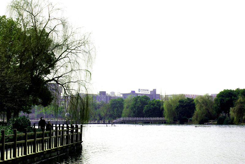 DSC02576.JPG