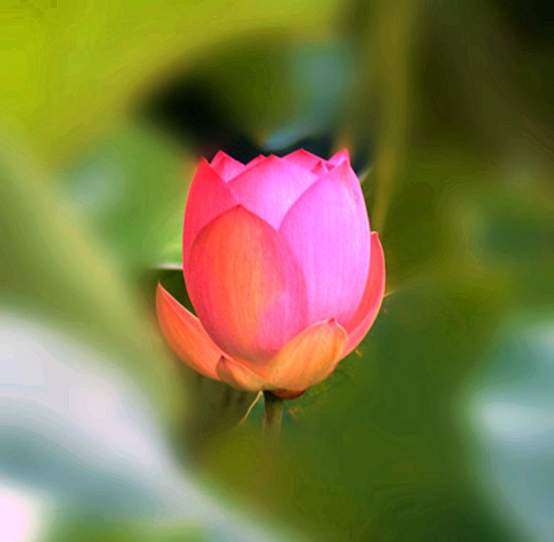 DSC09124_.jpg
