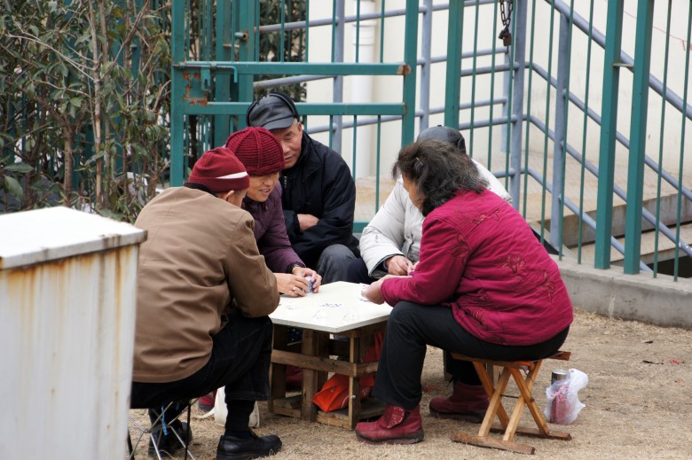 DSC03474_conew1.jpg