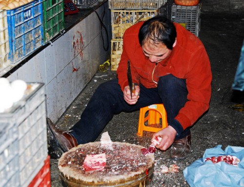 DSC_6133_conew1.JPG