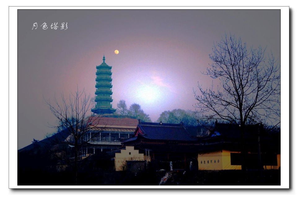 DSC_6537_conew3.JPG