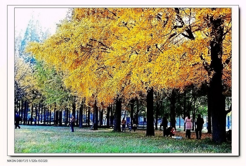 DSC_1363_conew3.JPG