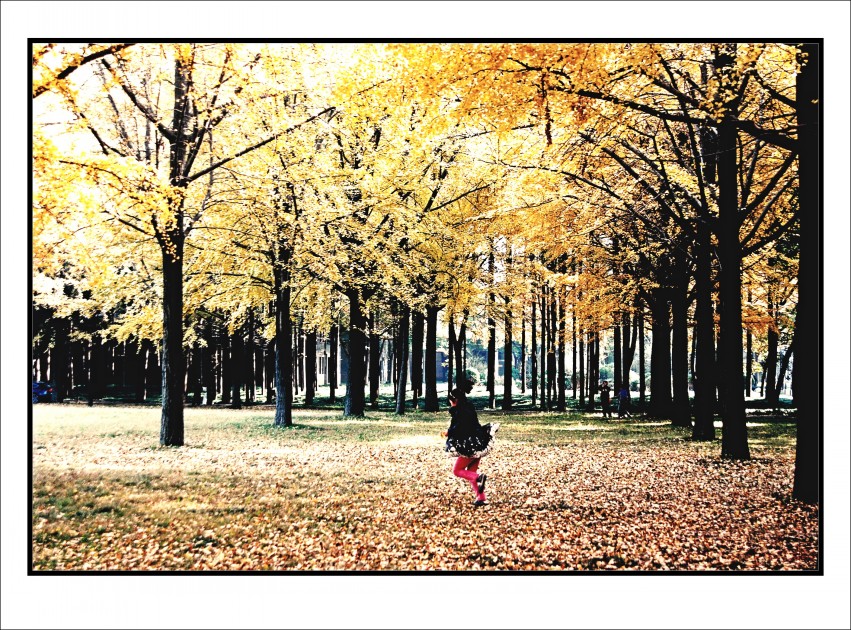 DSC_1358_conew2.JPG
