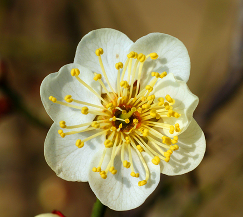 DSC02852_.jpg