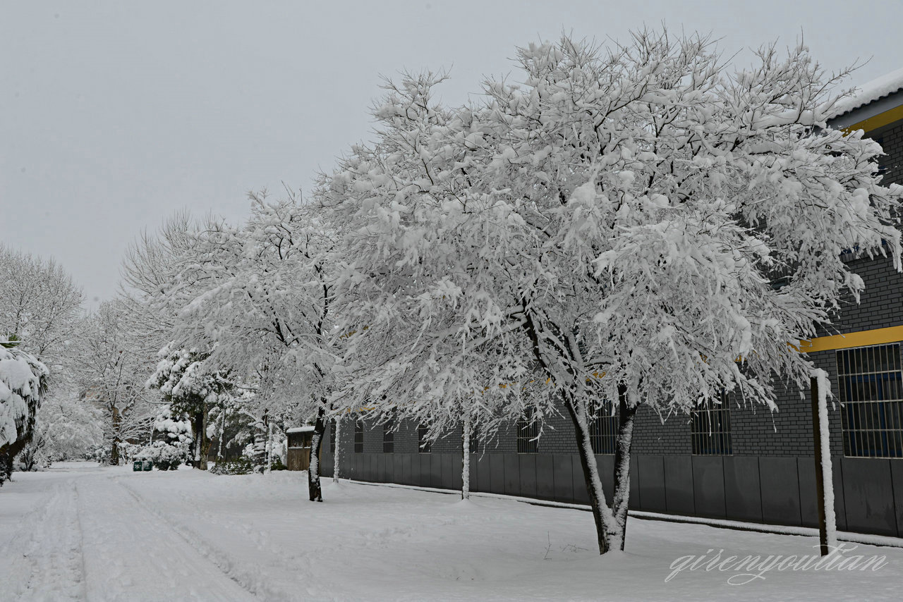 DSC_0796.jpg