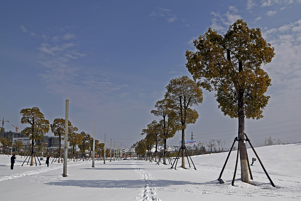 _K8A00151_1.jpg