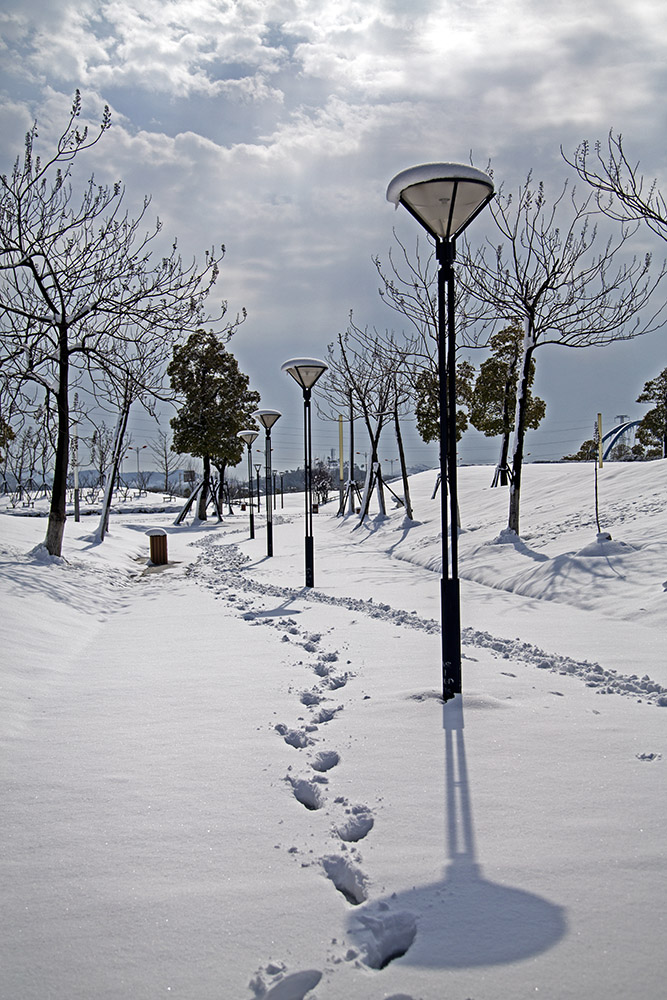 _K8A04061.jpg