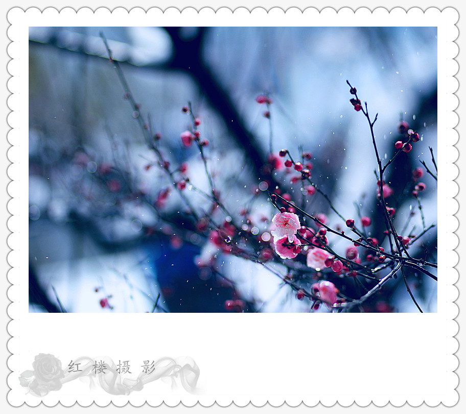 ѩ÷_0628_.jpg
