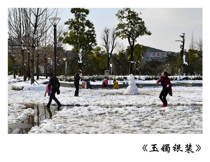 _DSC0170.jpg